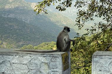 02 PKW-Reise_Jodhpur-Mount_Abu_DSC4025_b_H600